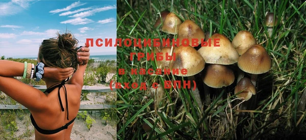 скорость Алексин