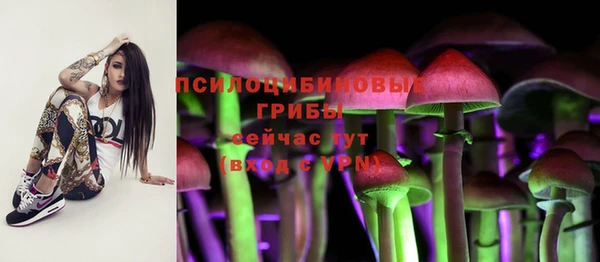 спиды Алзамай